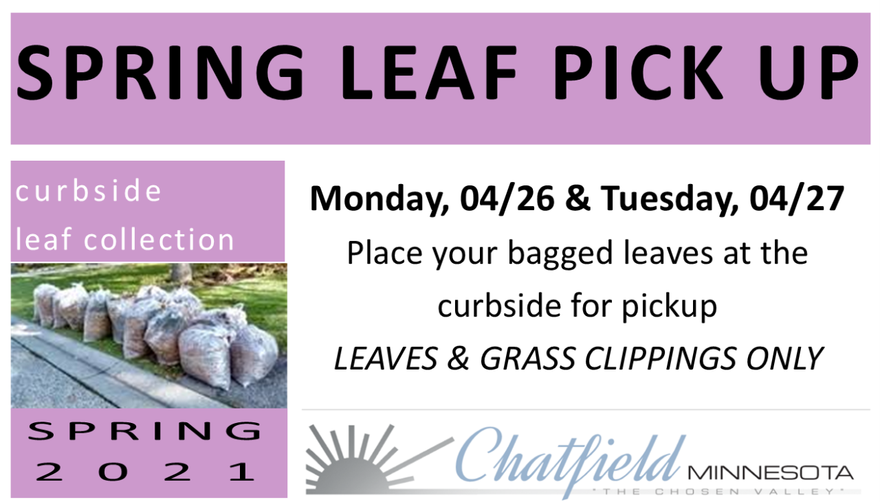2021 City Leaf Pick Up