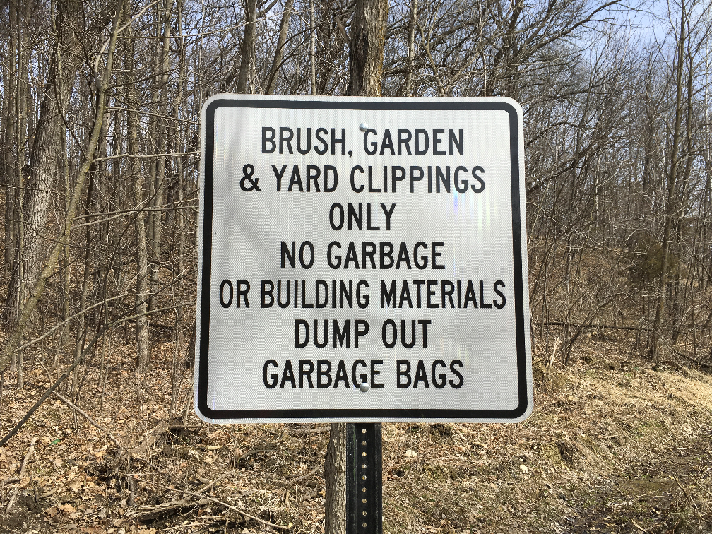 Brush Dump Sign of Rules